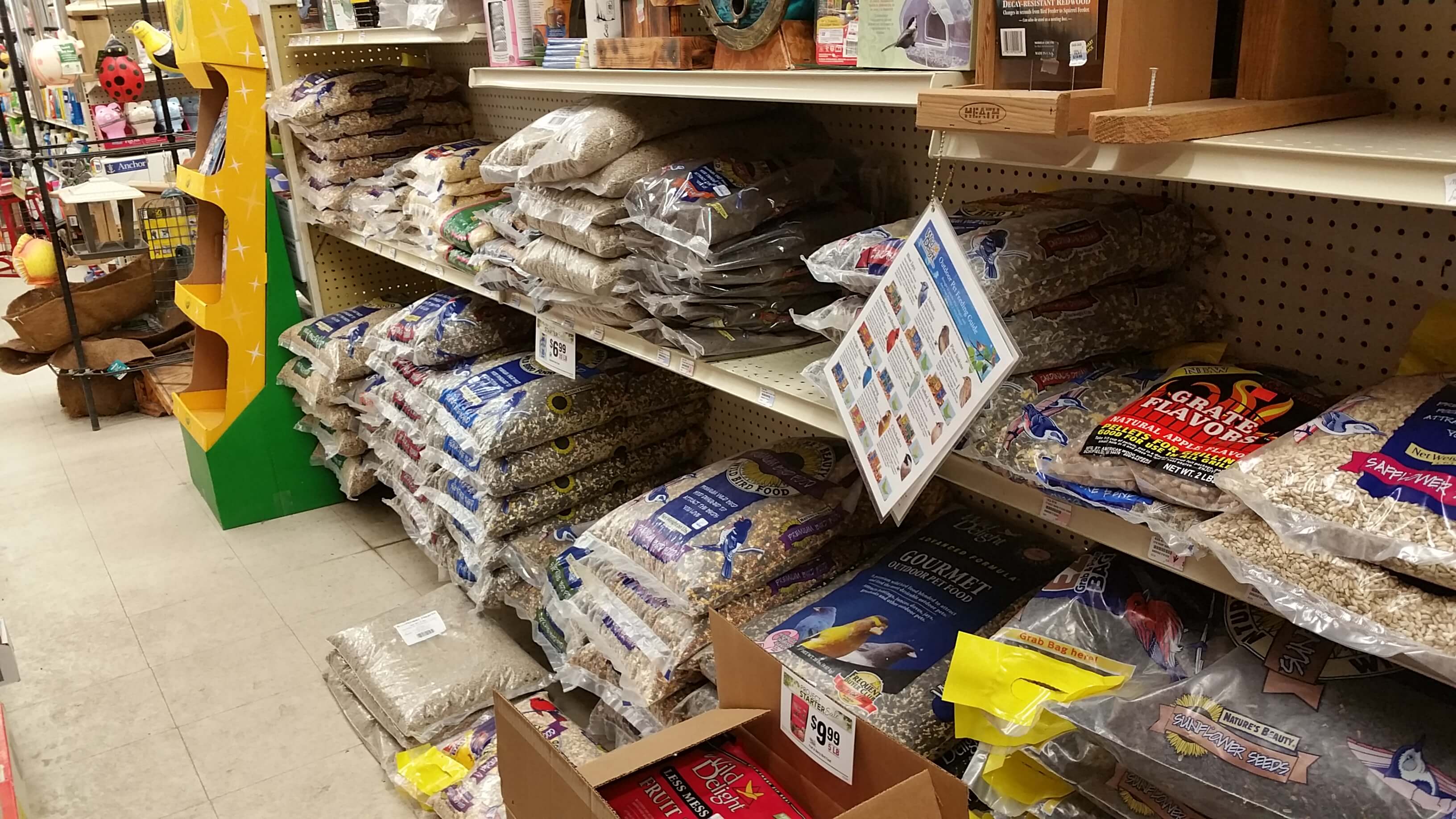 Bird Food